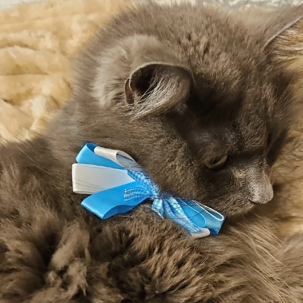 Blue and White Cat Bow Tie